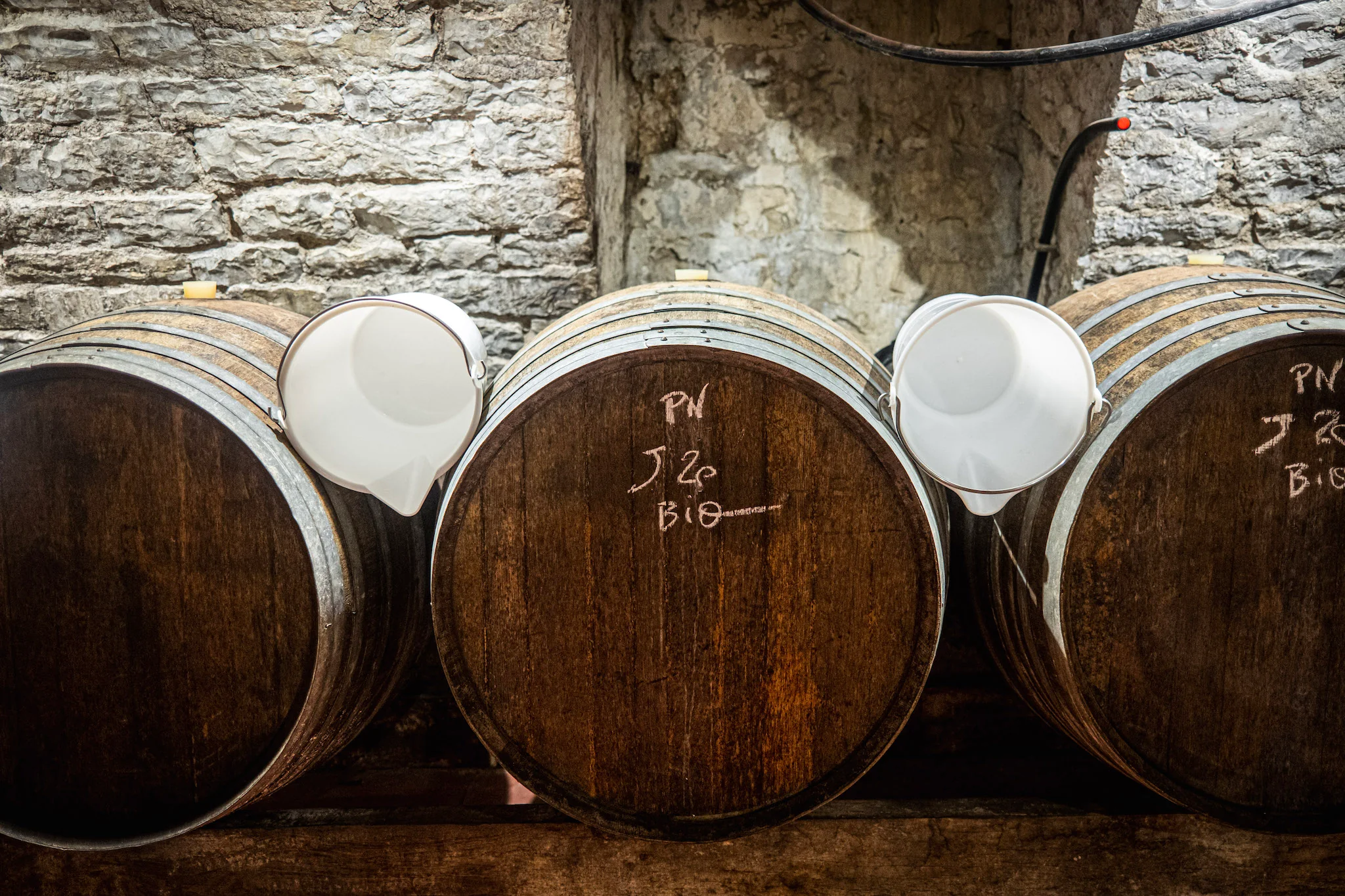 Honest Wines, Curated for You
